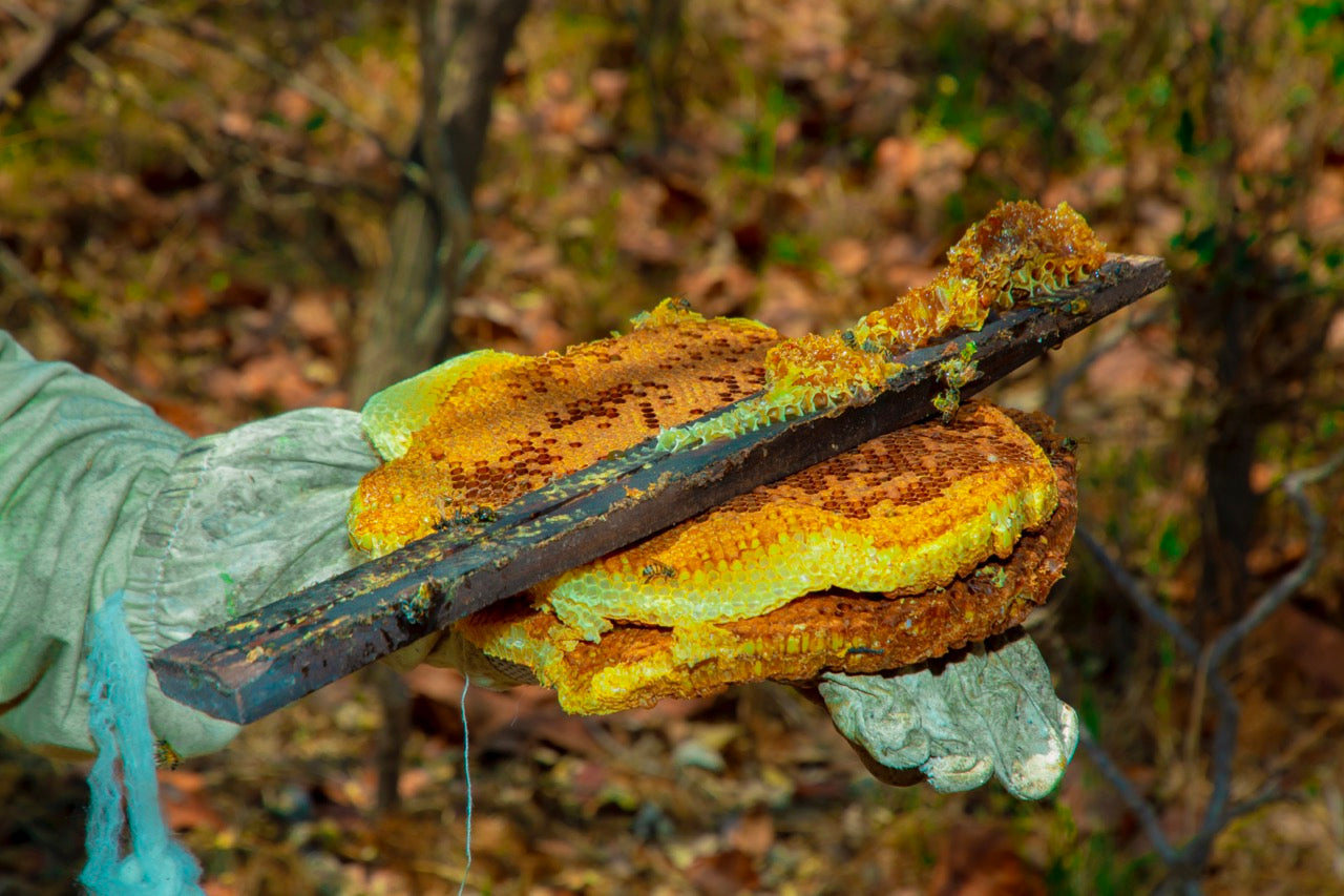 Wat is honing? Alles wat je moet weten over pure honing