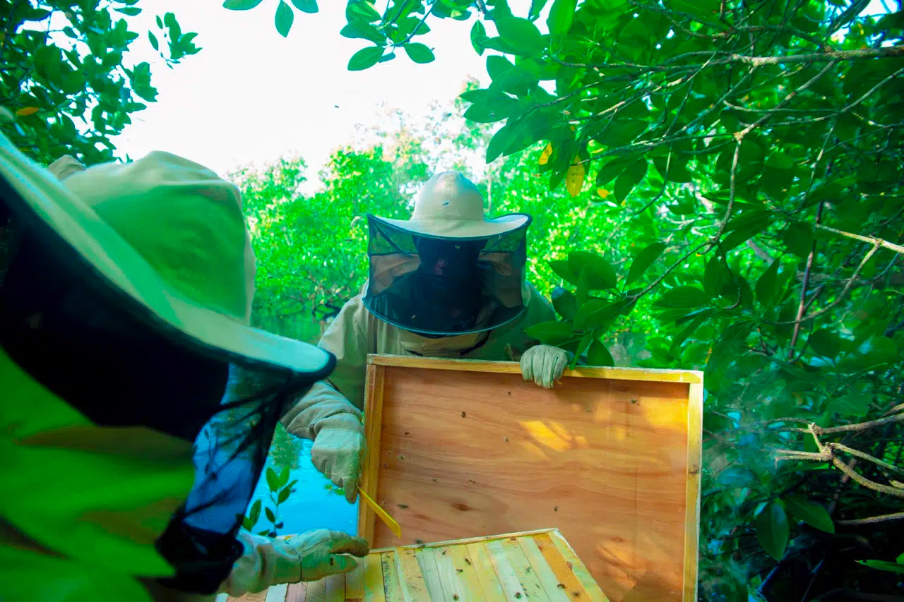 Imker met bijenkast en honingraat